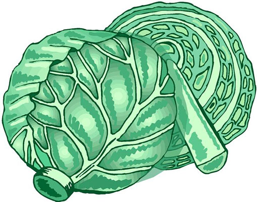 Lettuce Clipart | Free Download Clip Art | Free Clip Art | on ...