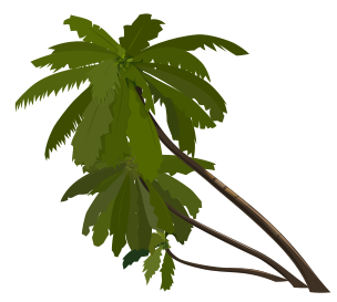 Clipart of a tree animation