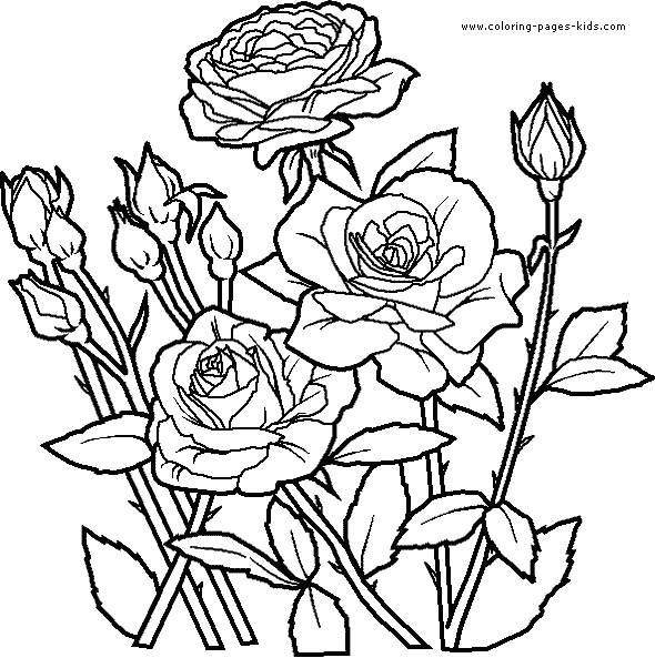 Download Printable roses coloring page free coloring pages of ...