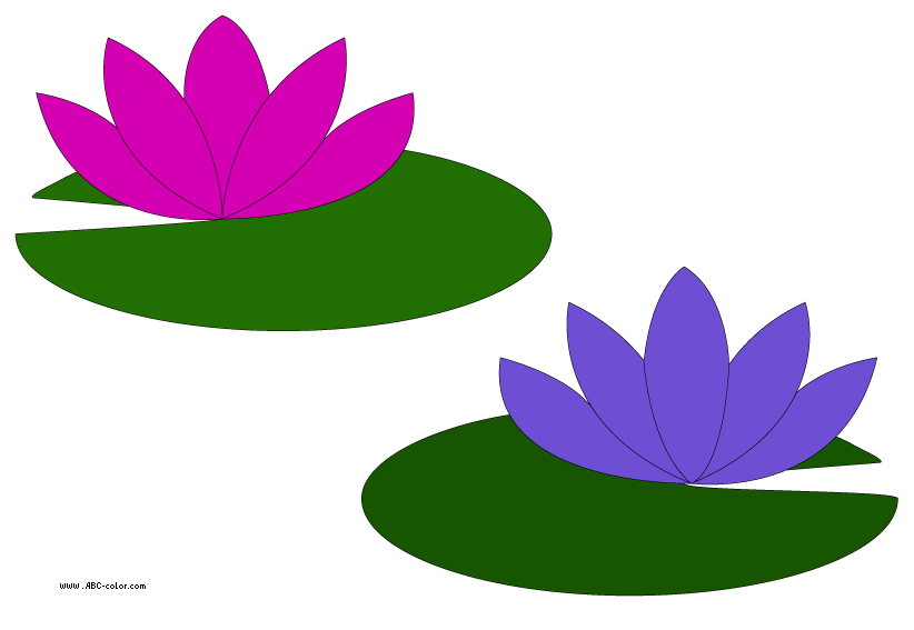 Lily pad pond clipart
