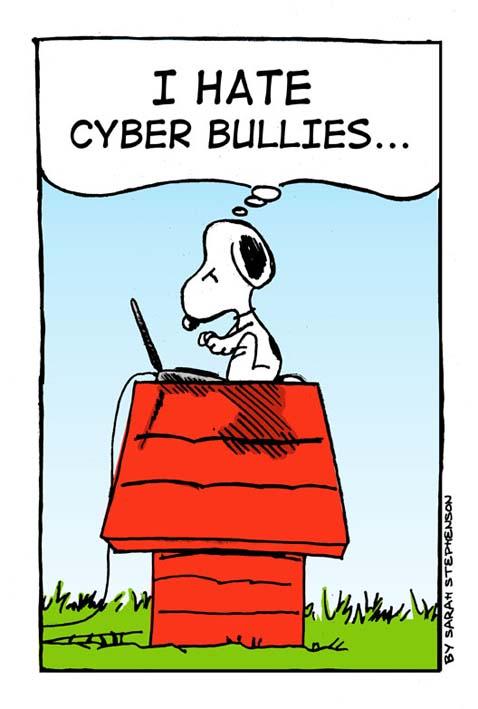 Cyber Bullying