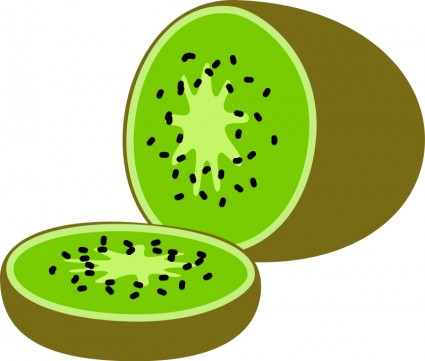 Outline Of The Kiwi - ClipArt Best