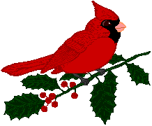 Christmas red bird clipart