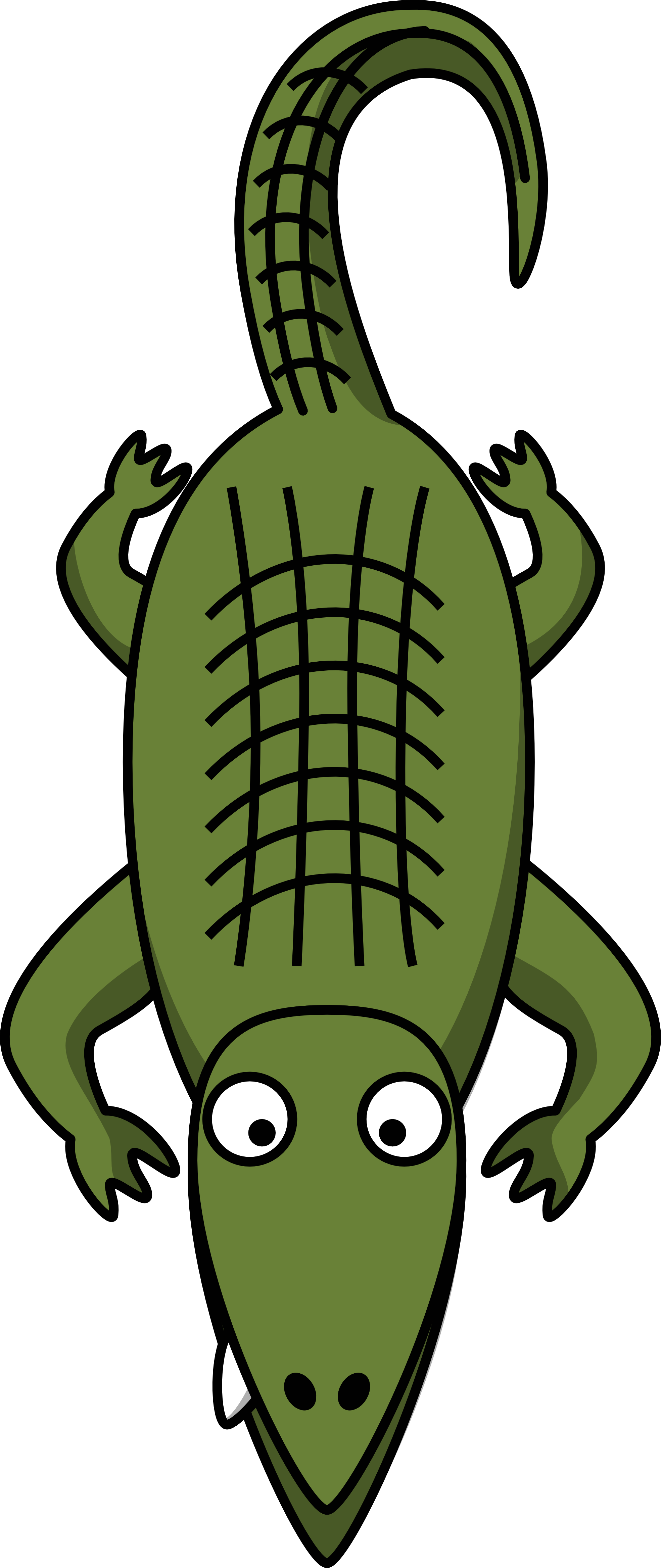 Alligator Cartoon Pictures