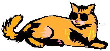 Cool cat clipart