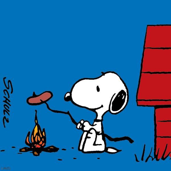 1000+ images about Snoopy | Peanuts snoopy, Beagles ...