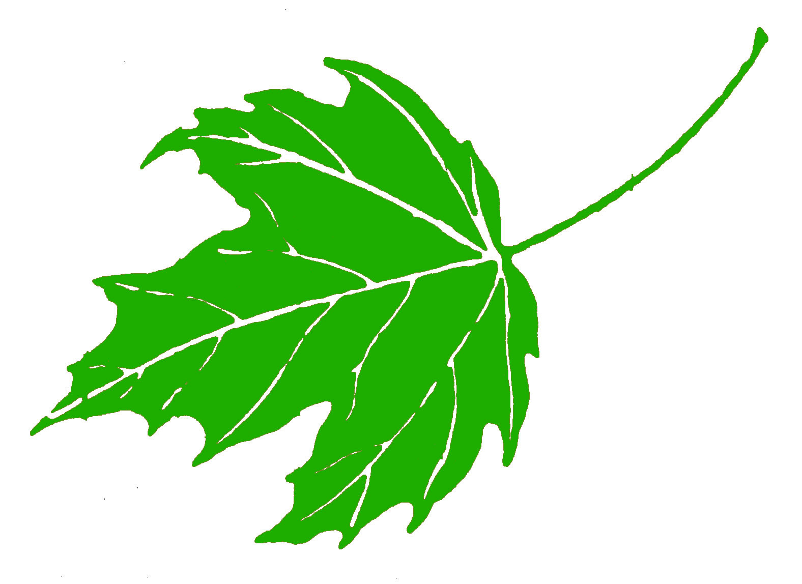 leaf clipart