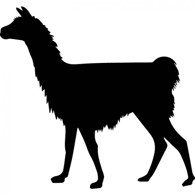 Llama Outline