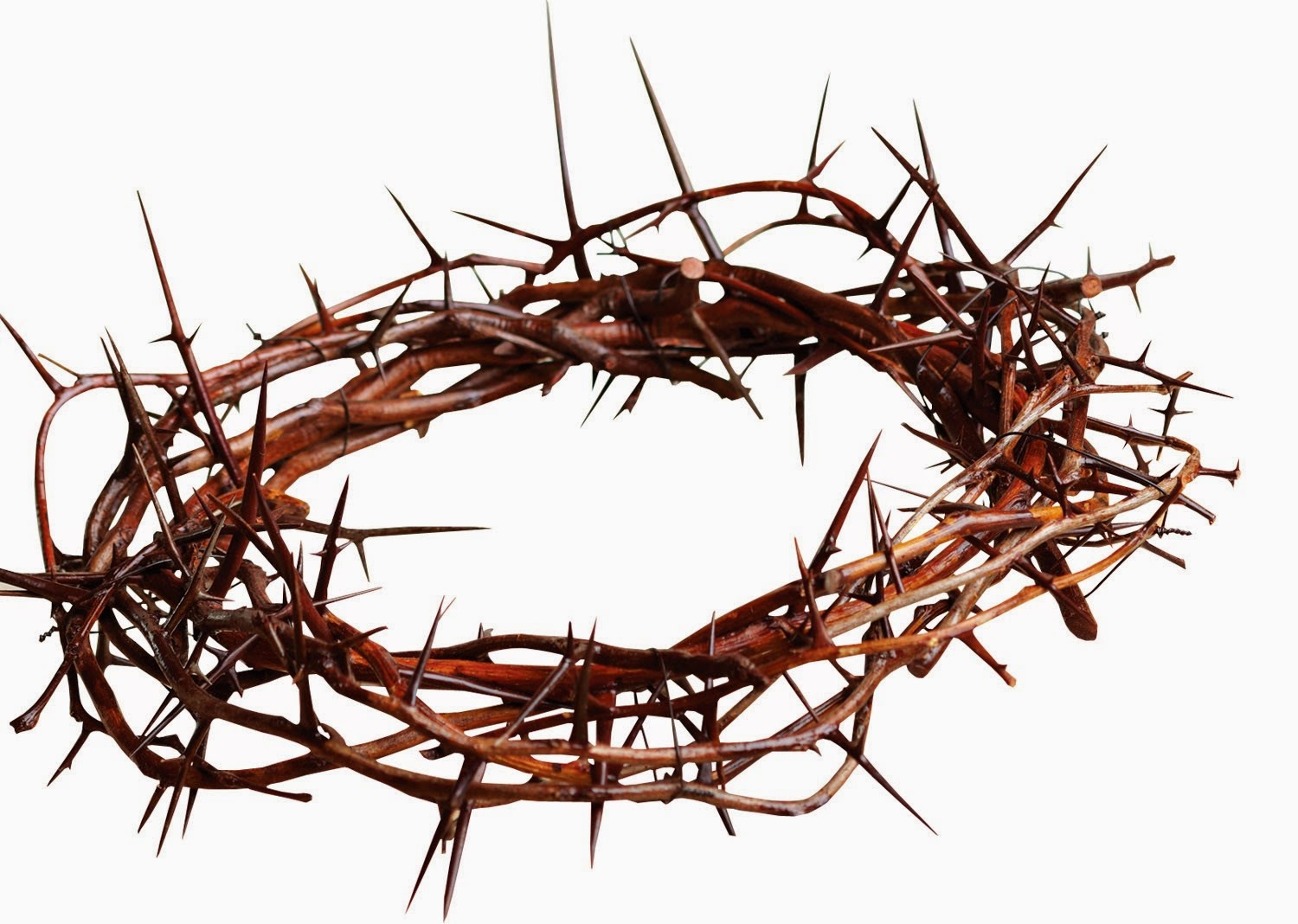 crown of thorns clipart | Hostted