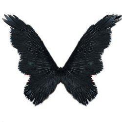 adult costume angel wings images.