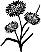 Marigold Clipart - ClipArt Best