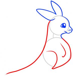 Animals - How to Draw a Kangaroo for Kids