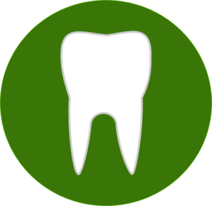 Tooth clip art - vector clip art online, royalty free & public domain