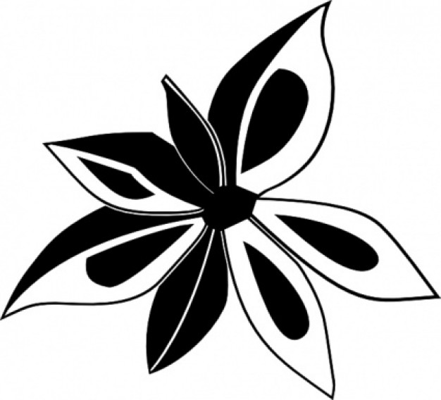 Anise Plant clip art | Download free Vector