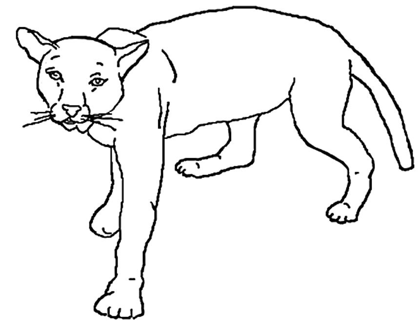 Lion Coloring Page | Free coloring pages for kids