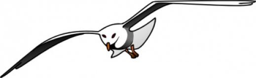 Seagull Clipart Black And White - Free Clipart Images