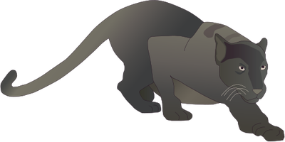 Panthera pardus (Panther) - Mammals - Vector Illustration/Drawing ...