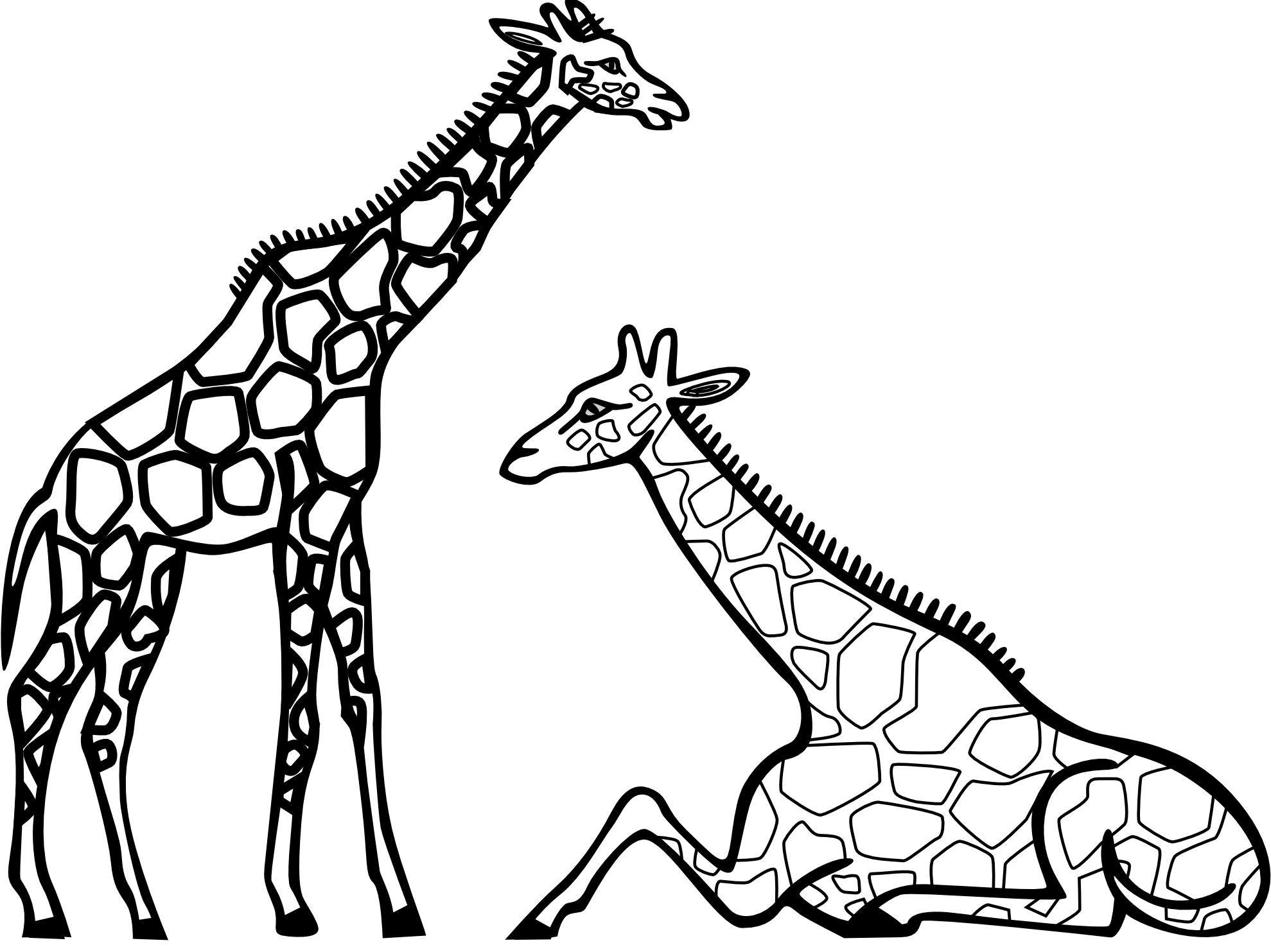 Giraffe clipart black and white outline png