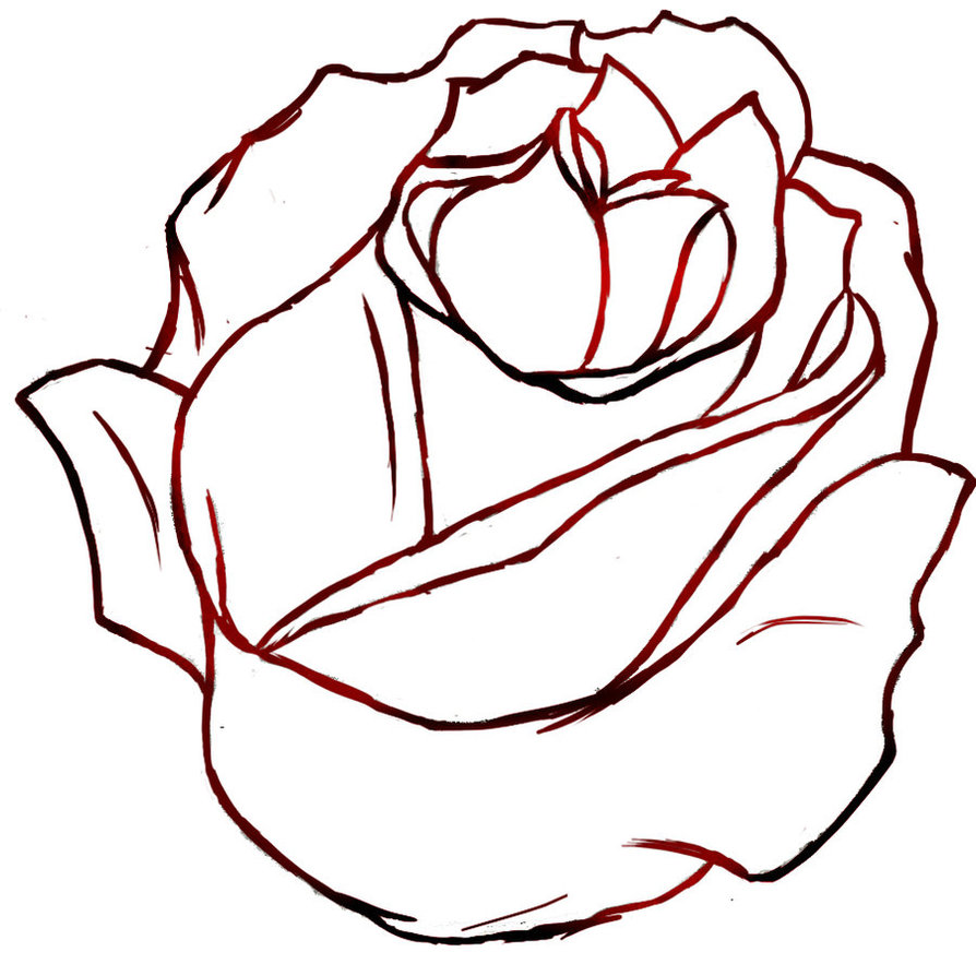 rose outline drawings