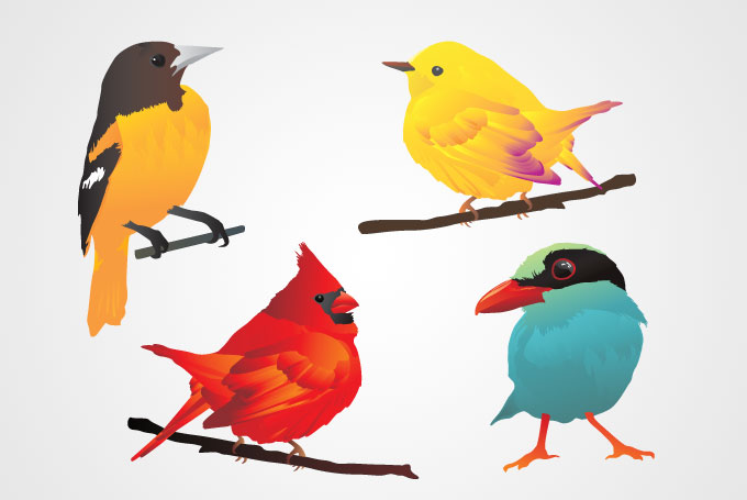 Bird Vector Clip Art (Free), vector graphic - 365PSD.com