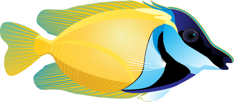 Tropical Fish Clipart - Free Clipart Images