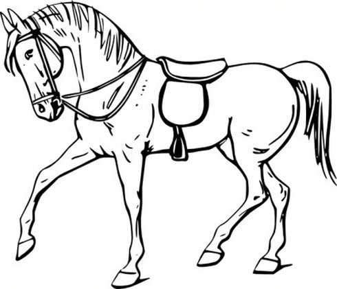 Horse Clipart And Graphics - Free Clipart Images