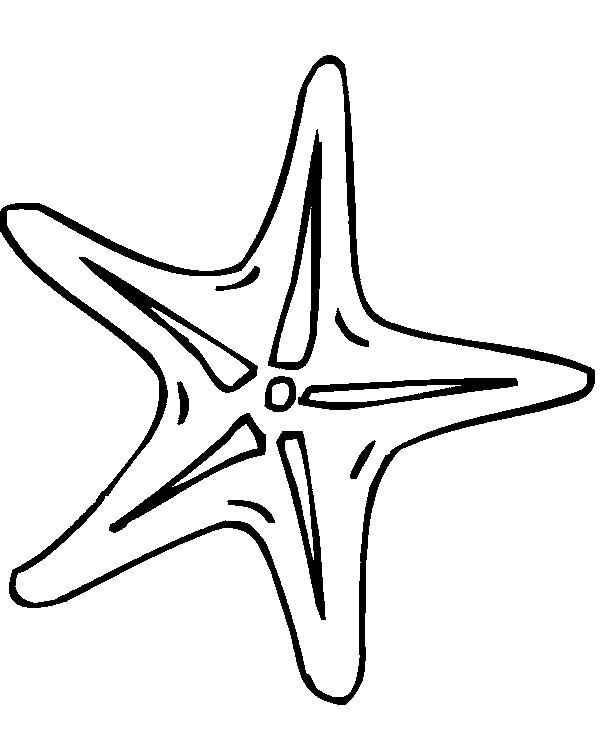 Free 9 pics of starfish outline coloring page cute starfish ...