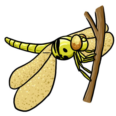 FREE Dragonfly Clip Art 11