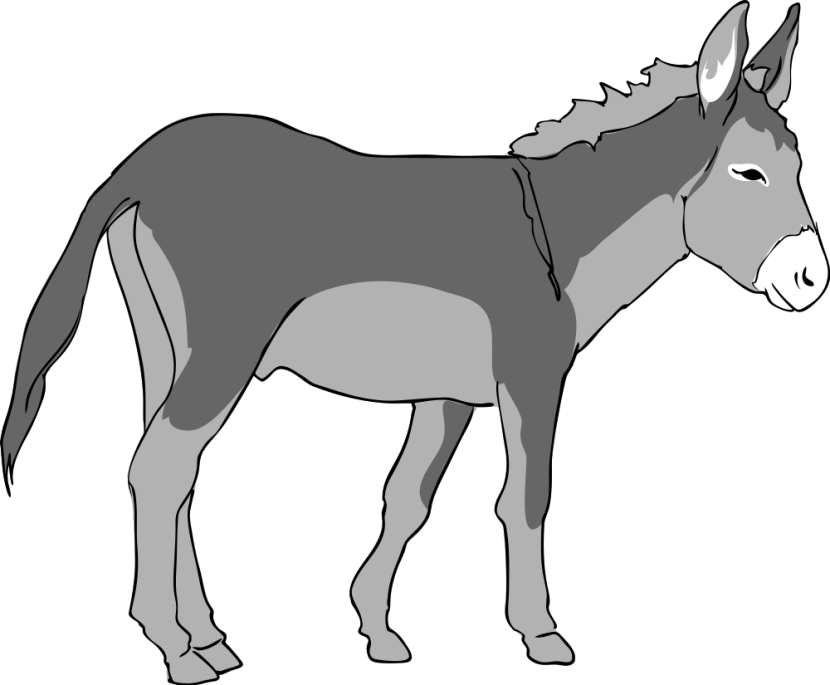 Donkey Clipart - Clipartion.com