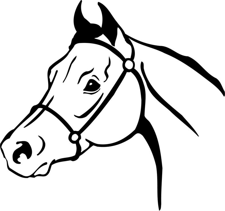 Free horse head clip art