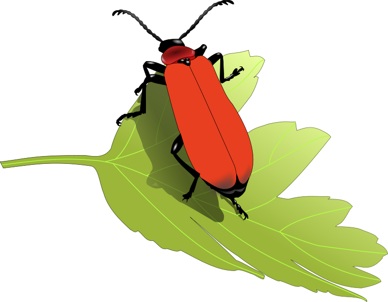 Insects Clipart | Free Download Clip Art | Free Clip Art | on ...