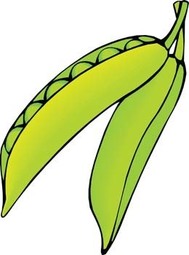 Green Peas Clipart