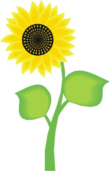 Cartoon Sunflower Pictures