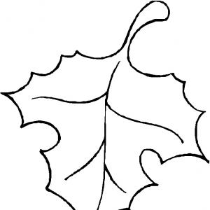 Free Fall Leaf Clipart Outline Picture | ClipArTidy