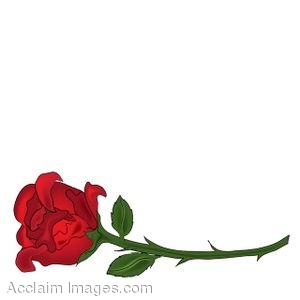 Long stem red rose clipart