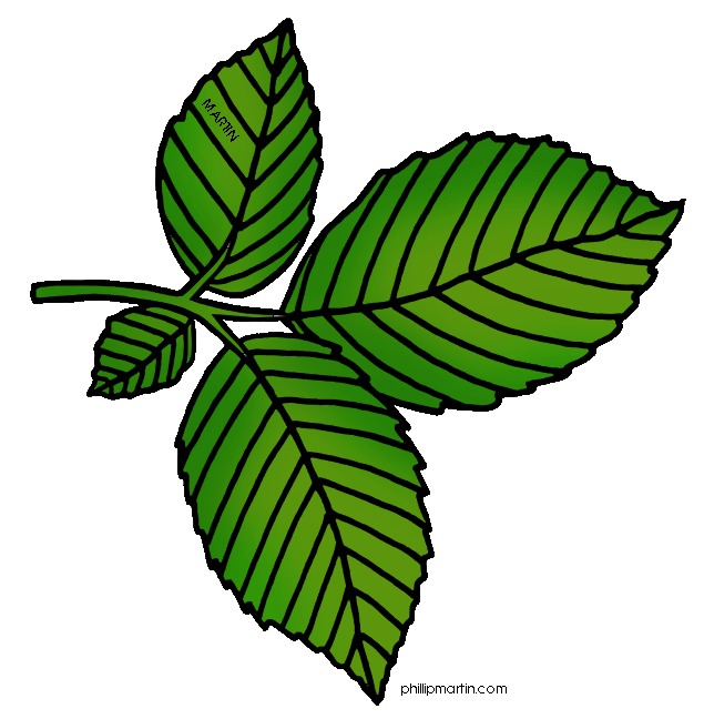 Tree Leaves Clip Art