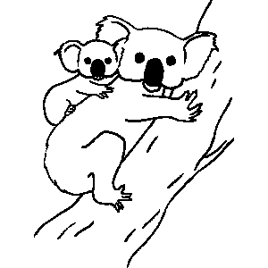 Koala_Bear.png