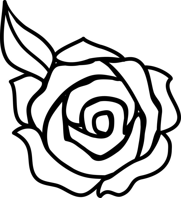 1000+ images about Doodle Roses