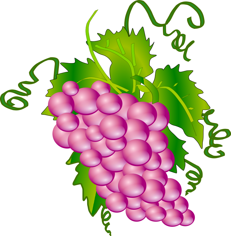 Bunch of Grapes Clip Art – Clipart Free Download