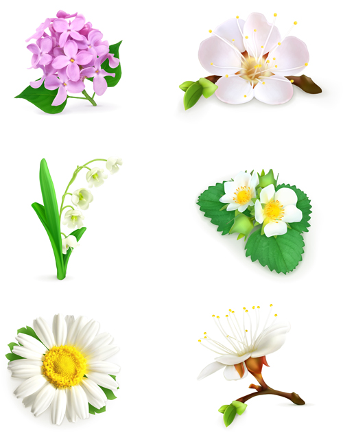 Vector beautiful flowers design set 02 - Vector Flower free download