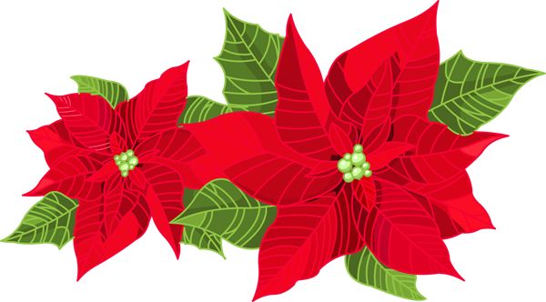 poinsettia clip art | Hostted