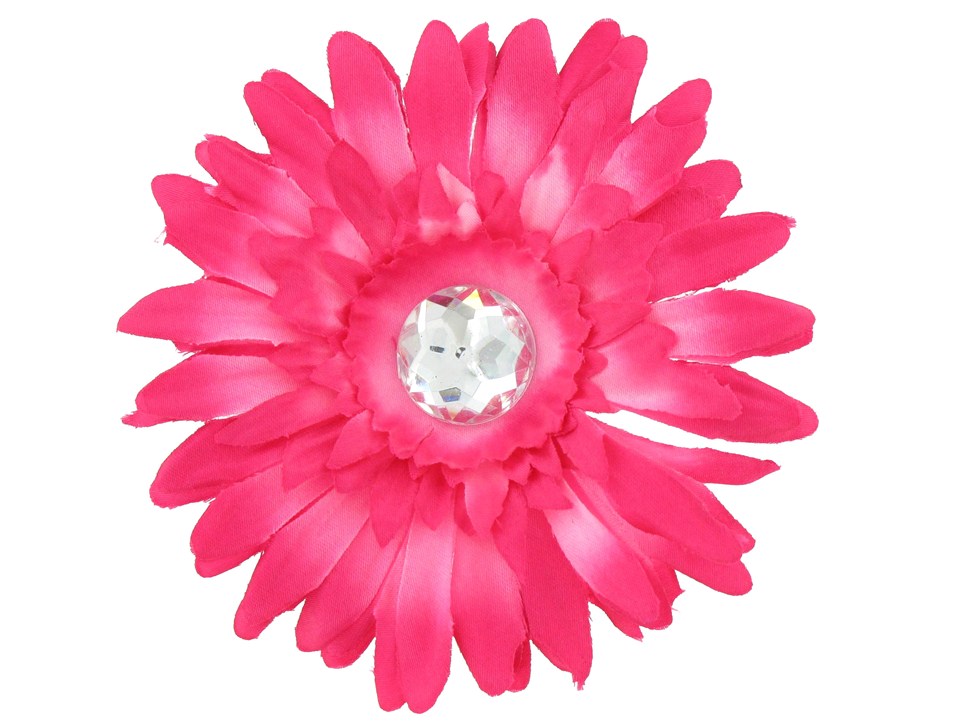 Pink Gerbera Daisy Clipart