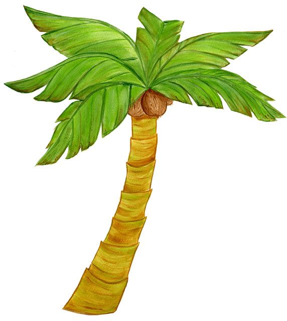 1000+ images about Palm ( trees)