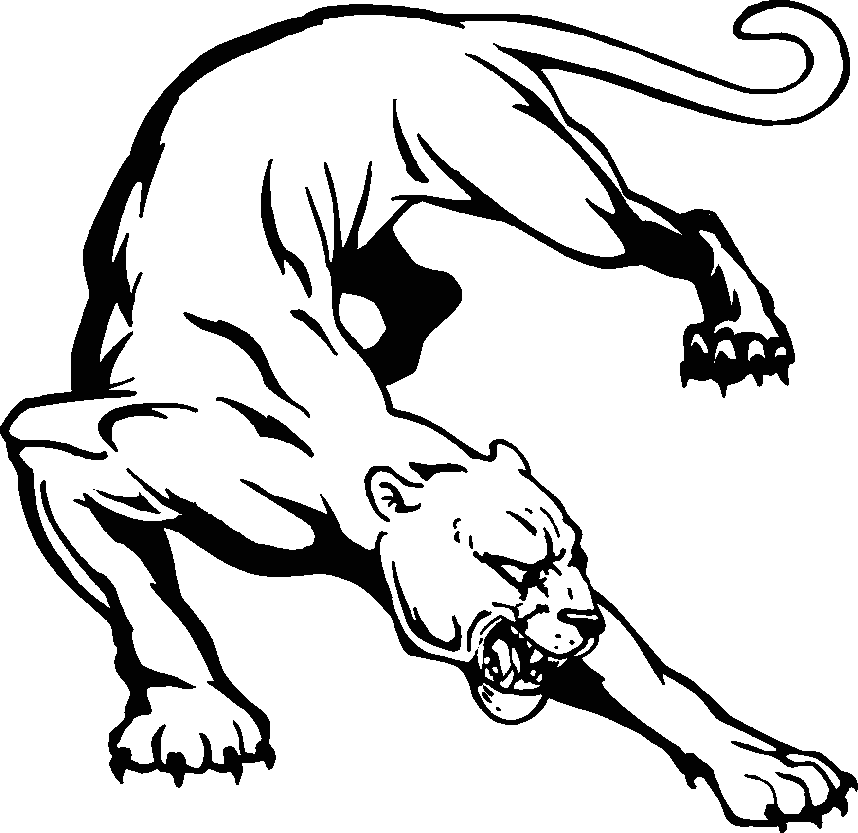Clip Art Panther Mascots Ajilbabcom Portal
