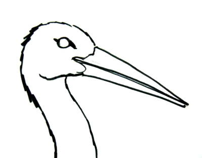 How to draw a Stork