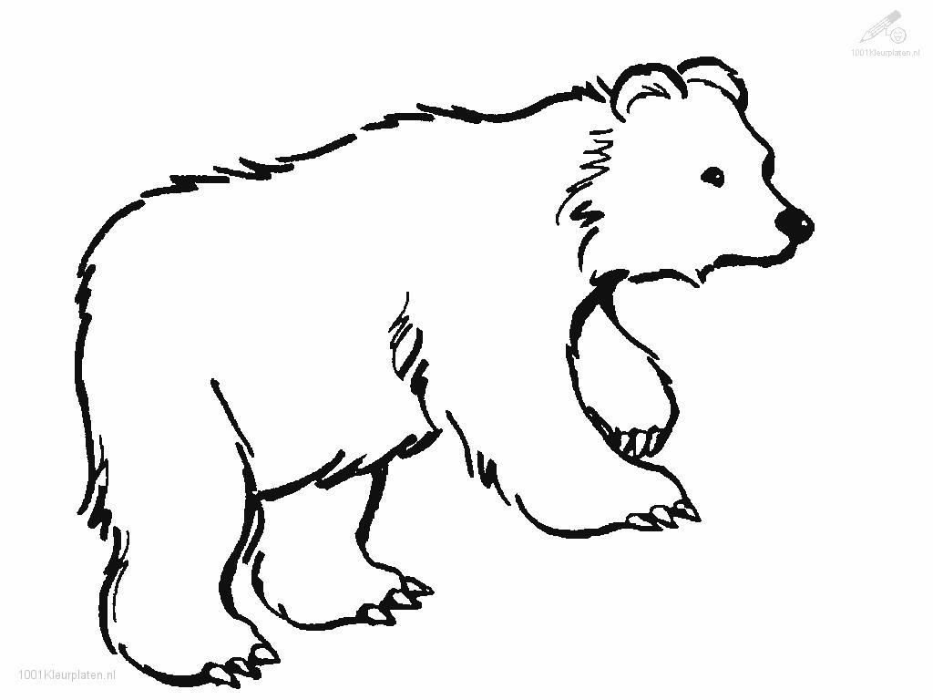 Coloring Page Of A Bear #2780