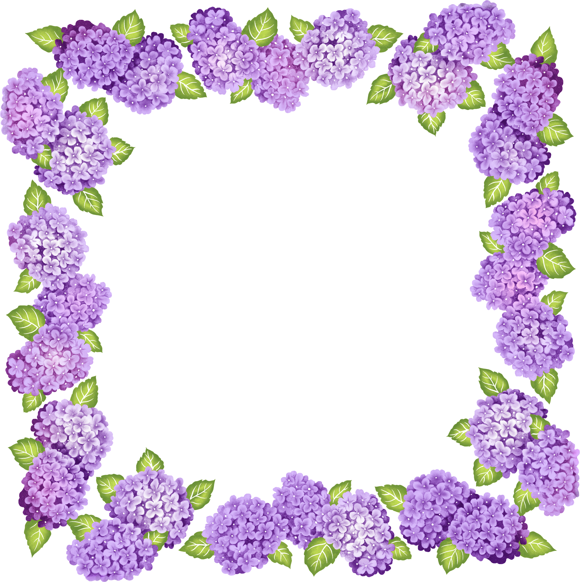Purple Frame Flowers - ClipArt Best