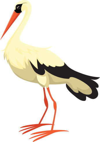 White Stork Clip Art, Vector Images & Illustrations