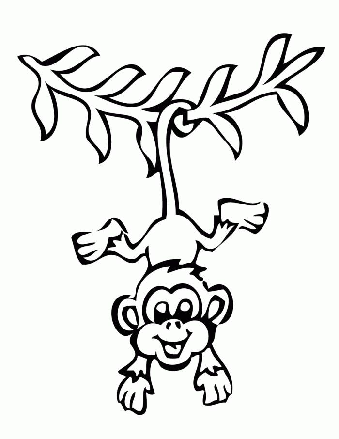 Cute monkey clipart black and white - ClipartFox