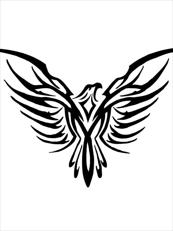 Eagle tattoos, Eagles and Tattoo designs